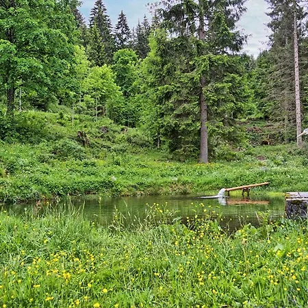 Ferienhaus Esche Hinterzarten Buitenkant foto
