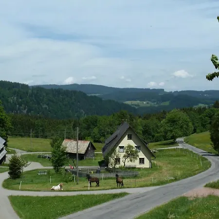 Ferienhaus Esche Hinterzarten Buitenkant foto