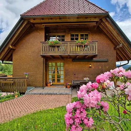 Ferienhaus Esche Hinterzarten Buitenkant foto