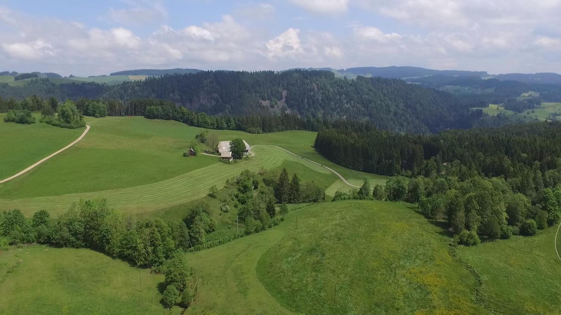 Esche Hinterzarten