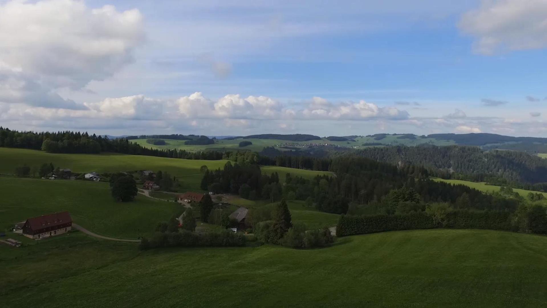 Esche * Hinterzarten
