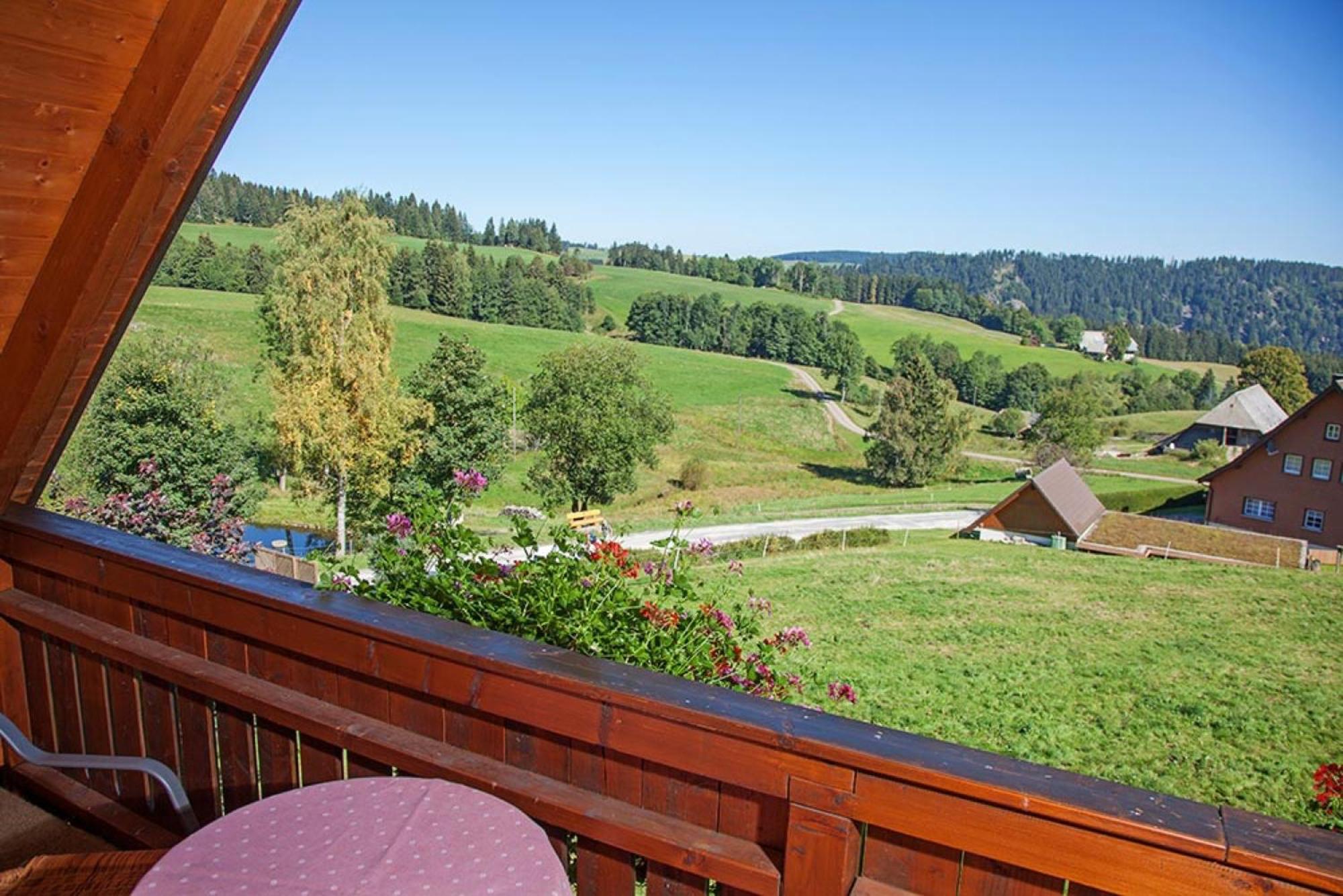 Appartement Esche Hinterzarten