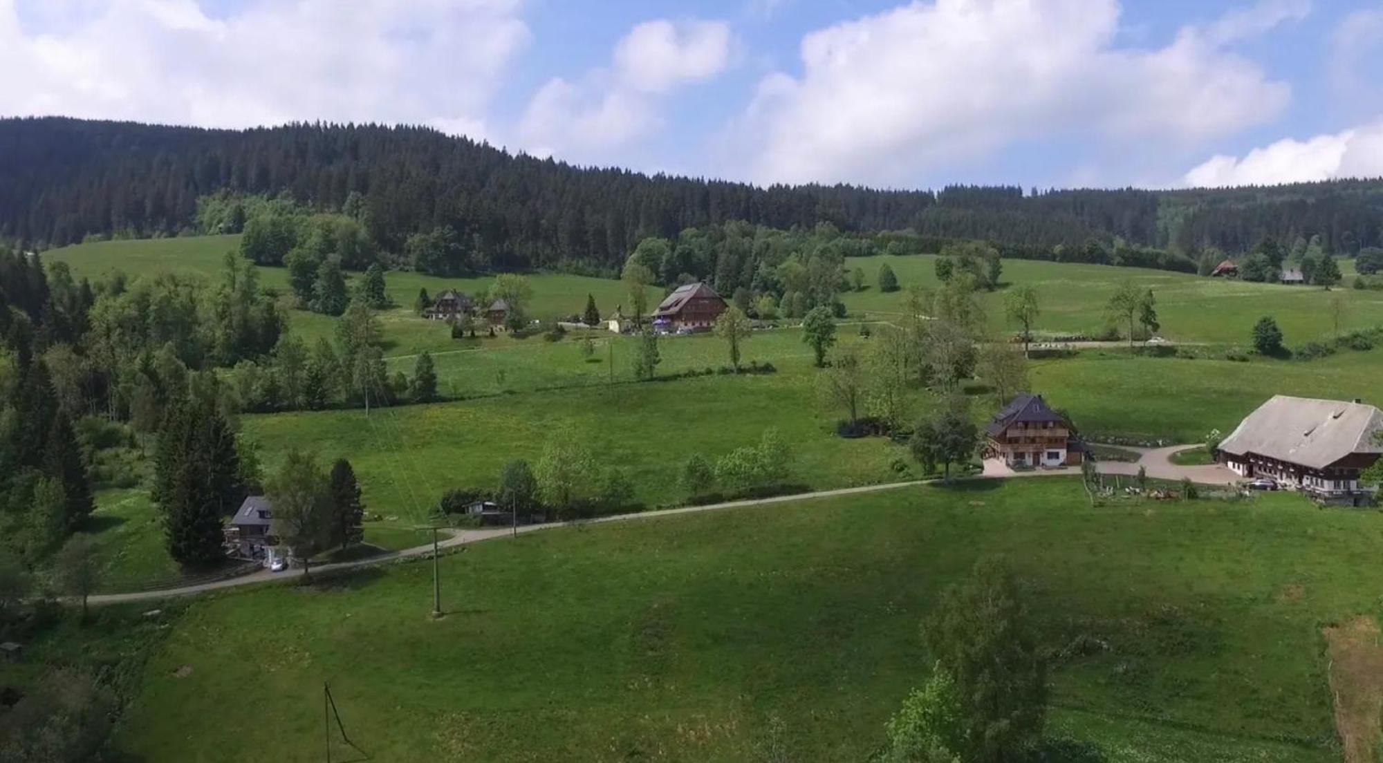 Esche Hinterzarten