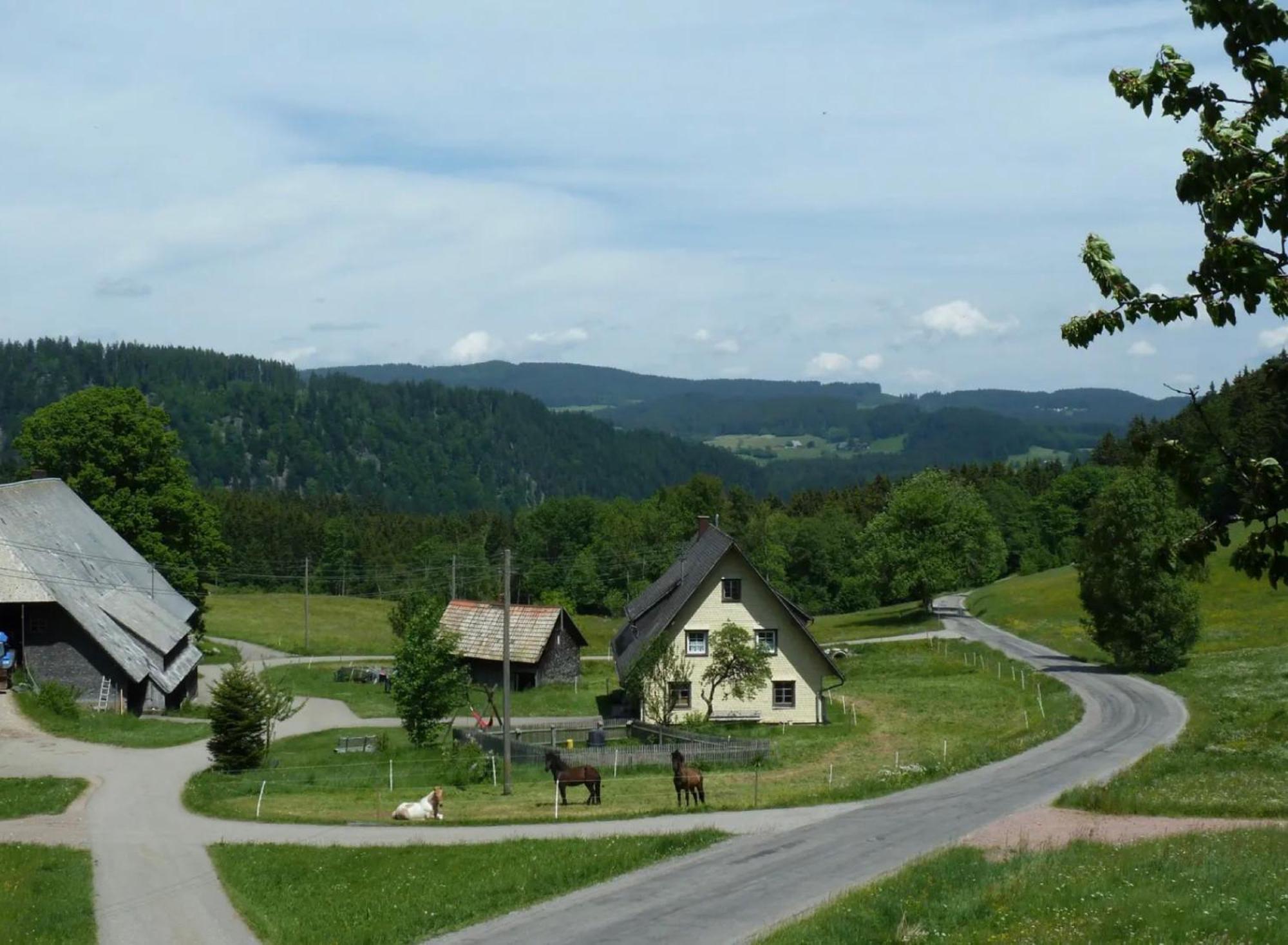 Appartement Esche Hinterzarten